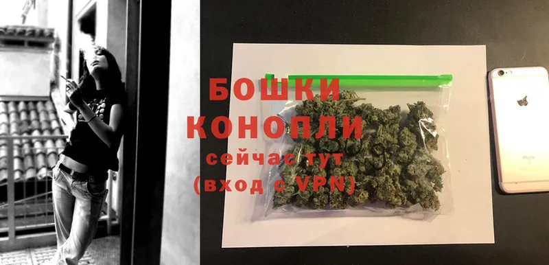 Бошки Шишки Ganja  закладка  Ладушкин 